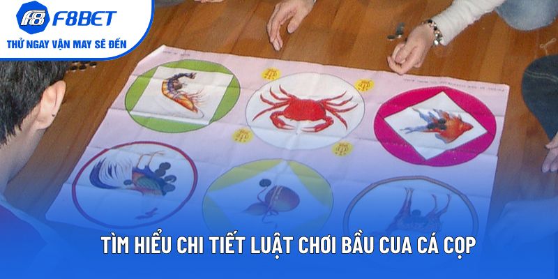Tìm hiểu chi tiết luật chơi bầu cua cá cọp