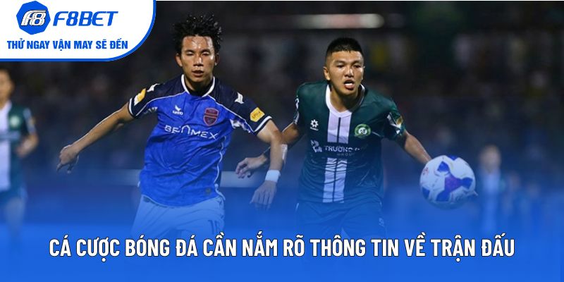 Cá cược bóng đá cần nắm rõ thông tin về trận đấu