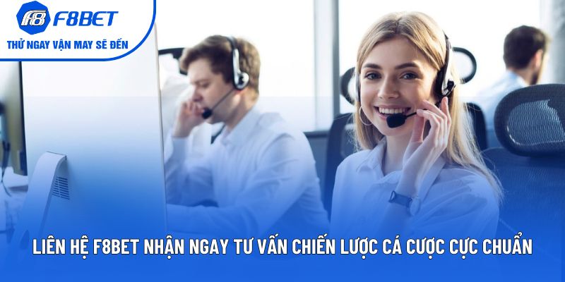 Liên Hệ F8BET Nhận Tư Vấn Chiến Lược Cá Cược Cực Chuẩn