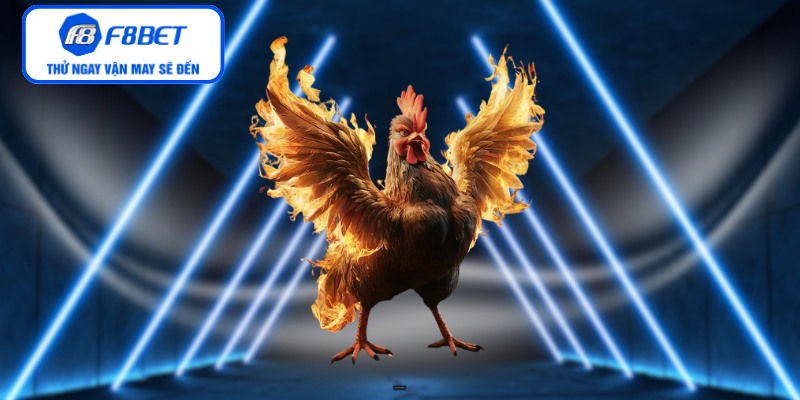 Đặc điểm nhận dạng những chiến kê dũng mãnh