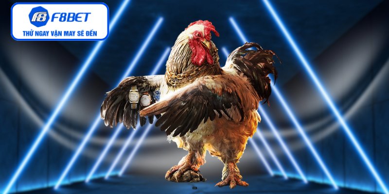 Phương pháp đầu tư mang lại hiệu quả cao